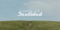 Portada sant